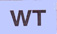 CCMNp14BBk-WT.jpg